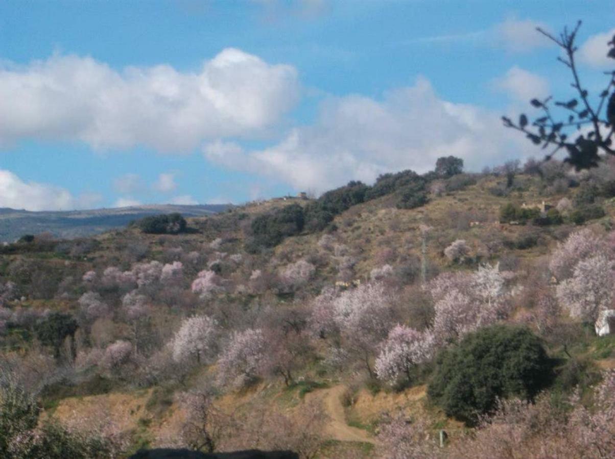 Villa Ugijar 외부 사진